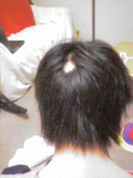 画像の説明